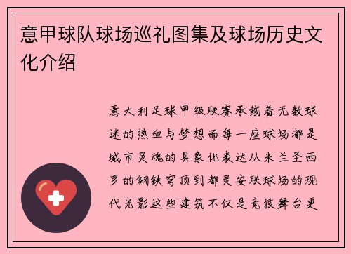 意甲球队球场巡礼图集及球场历史文化介绍